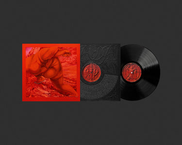 Black Vinyl LP with Printed Insert
