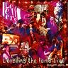 Levellers - Levelling The Land Live!