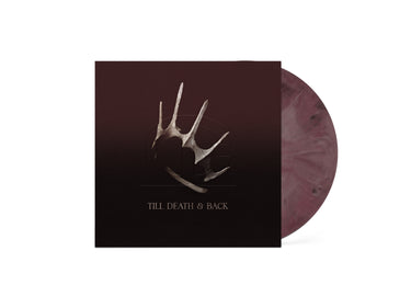 Moth Wing Vinyl LP