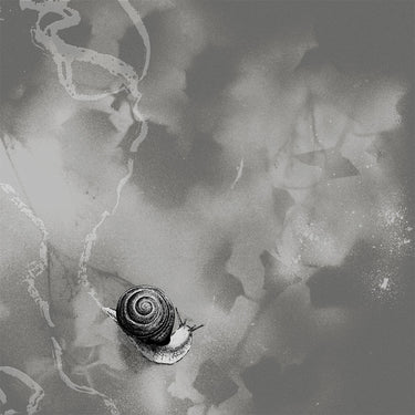 RATS ON RAFTS - Deep Below - LP - Grey Vinyl