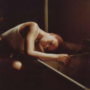 RAVYN LENAE - Bird's Eye (Repress) - LP -  Brown and Black Marbled Vinyl [AUG 15]