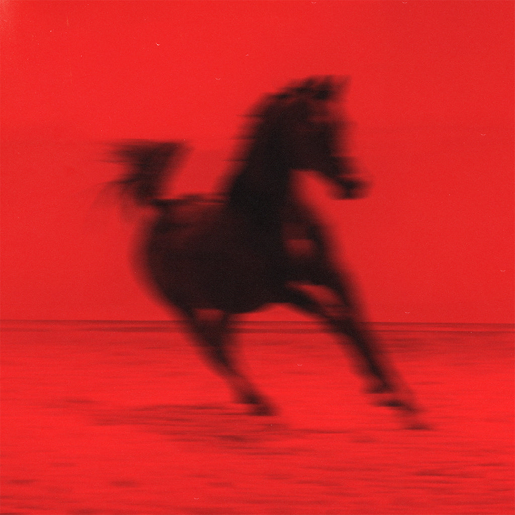 RED RUM CLUB - BUCK - LP - Black Vinyl [SEP 5]