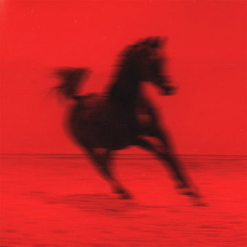 RED RUM CLUB - BUCK - LP - Black Vinyl [SEP 5]