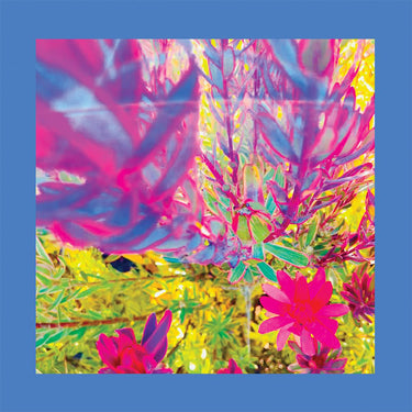 THE REDS PINKS AND PURPLES - The Past is a Garden I Never Fed - LP - Neon Pink Vinyl