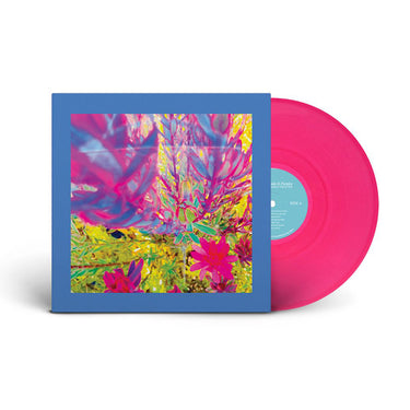 THE REDS PINKS AND PURPLES - The Past is a Garden I Never Fed