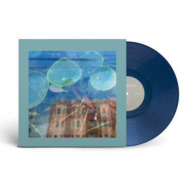 THE REDS, PINKS AND PURPLES - Acknowledge Kindness - LP - 'Dark Cloud' Coloured Vinyl
