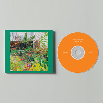 THE REDS, PINKS AND PURPLES - Unwishing Well - CD