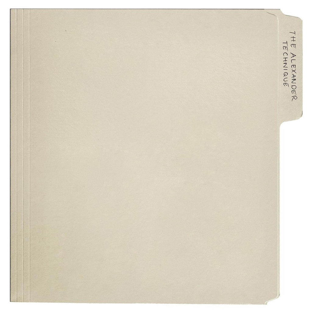 REX ORANGE COUNTY - The Alexander Technique - 2LP - Smores White Colour Vinyl