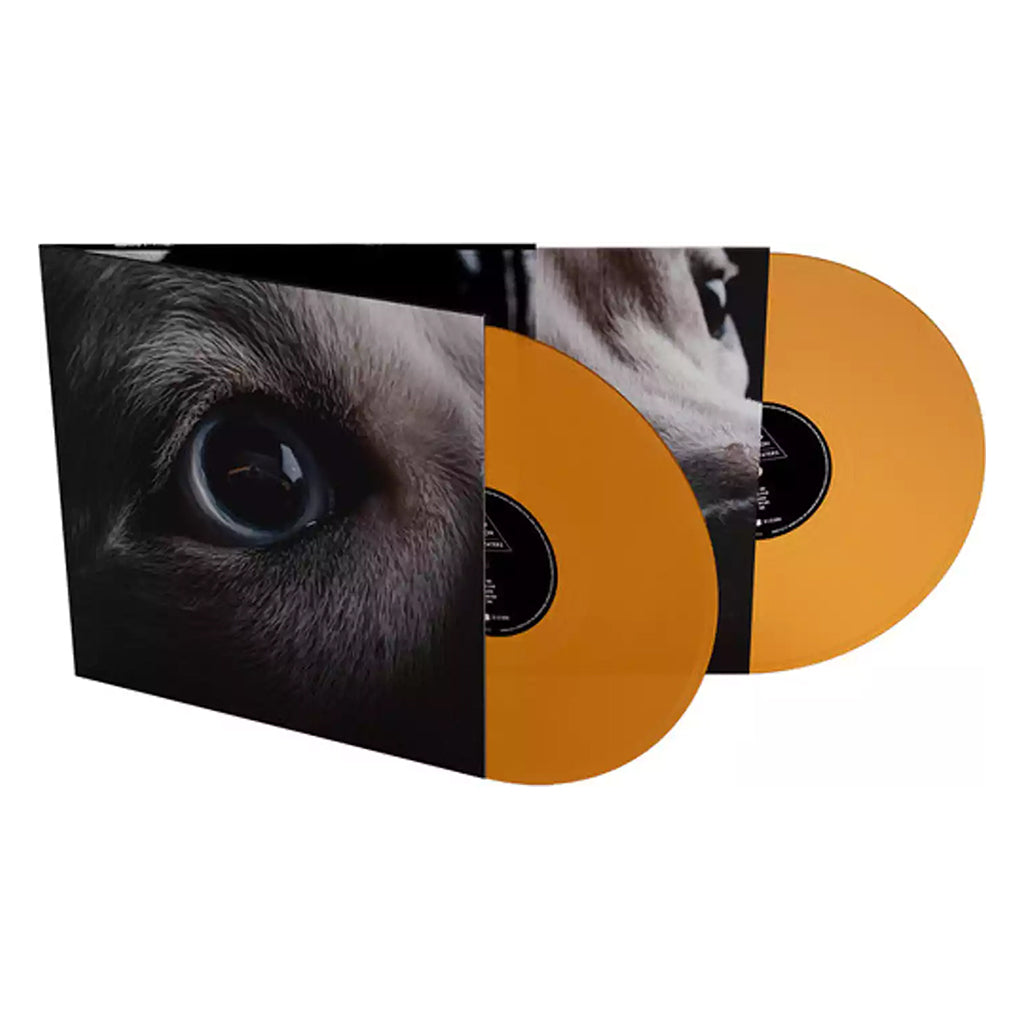 ROGER WATERS - The Dark Side Of The Moon Redux (Repress) - 2LP - Orange Vinyl [NOV 1]