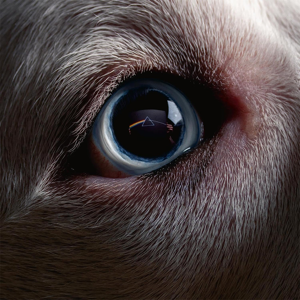 ROGER WATERS - The Dark Side of the Moon Redux - CD