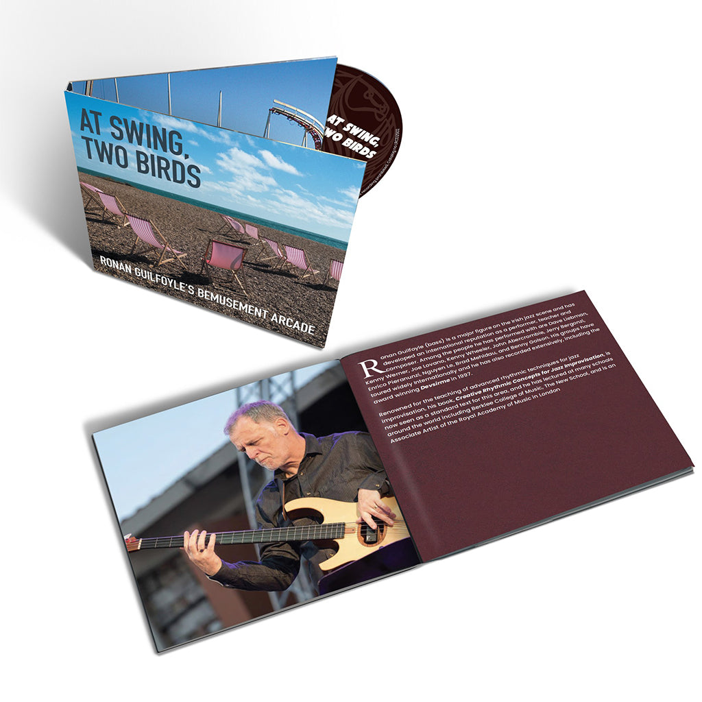 RONAN GUILFOYLE’S BEMUSEMENT ARCADE - At Swing, Two Birds - CD [MAY 2]