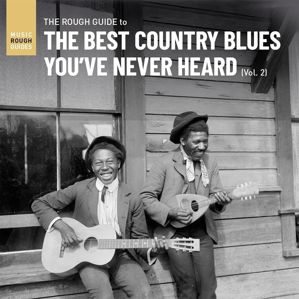 VARIOUS - The Rough Guide To The Best Country Blues You've Never Heard (Vol. 2) - LP - Vinyl