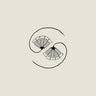 Vinyl LP + Bonus 10"