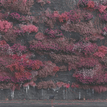 SLEEP TOKEN - Even In Arcadia - CD [MAY 9]