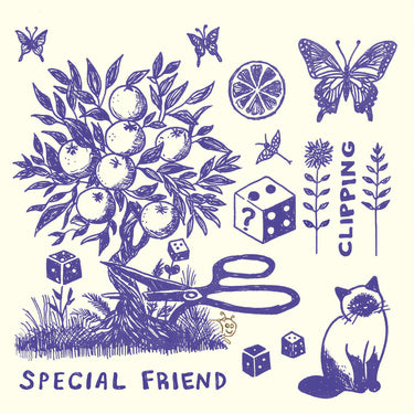 SPECIAL FRIEND - Clipping - LP - Limited Black Vinyl [MAR 20]