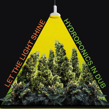 Limited Edition Green Vinyl LP