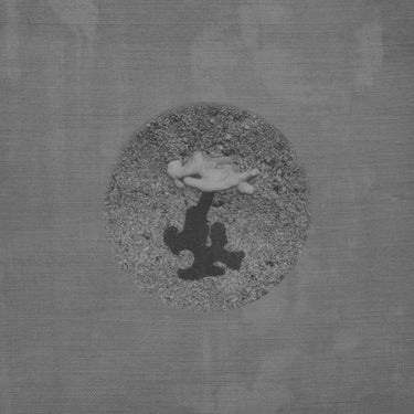 Black Vinyl LP