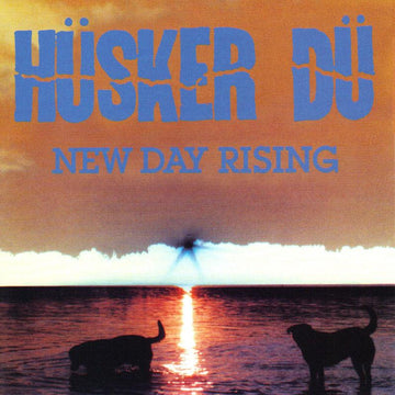 HUSKER DU - New Day Rising - LP - Vinyl