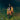 SZA - SOS Deluxe: Lana - 2CD [JUL 25]