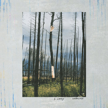 S. CAREY - Watercress - 12'' EP - Vinyl [OCT 10]