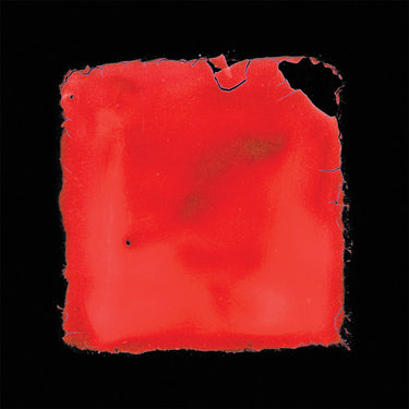 SALVIA PALTH - Last Chance To See - CD