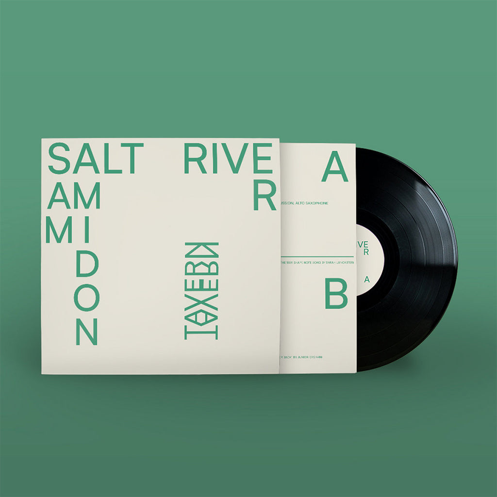 SAM AMIDON - Salt River - LP - Vinyl [FEB 7]