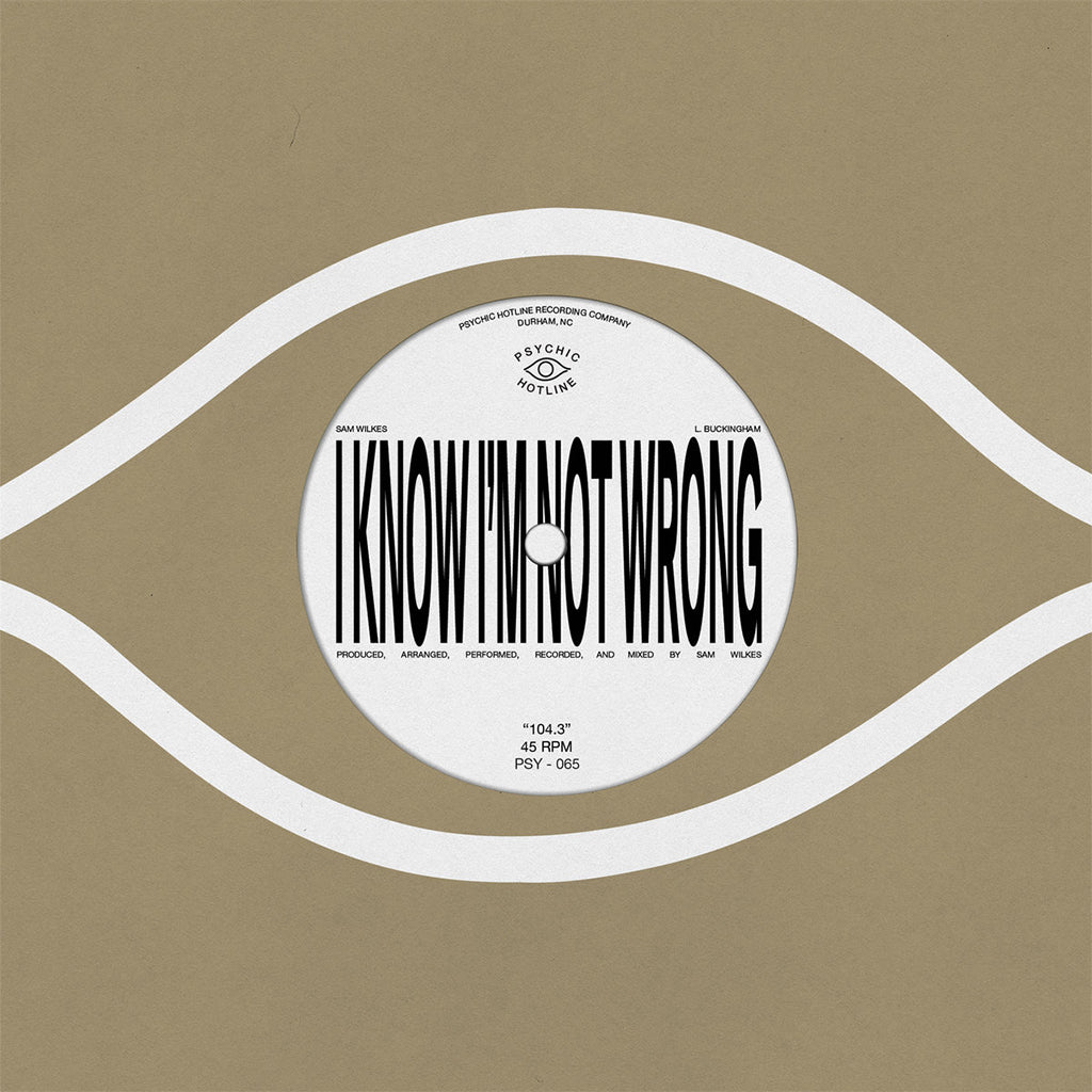 SAM WILKES - 104.3 - 7'' - Vinyl [NOV 7]