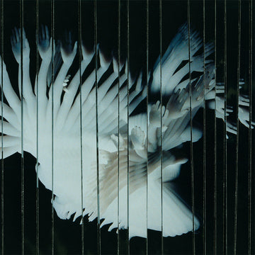 SCALER - Endlessly - CD [SEP 26]