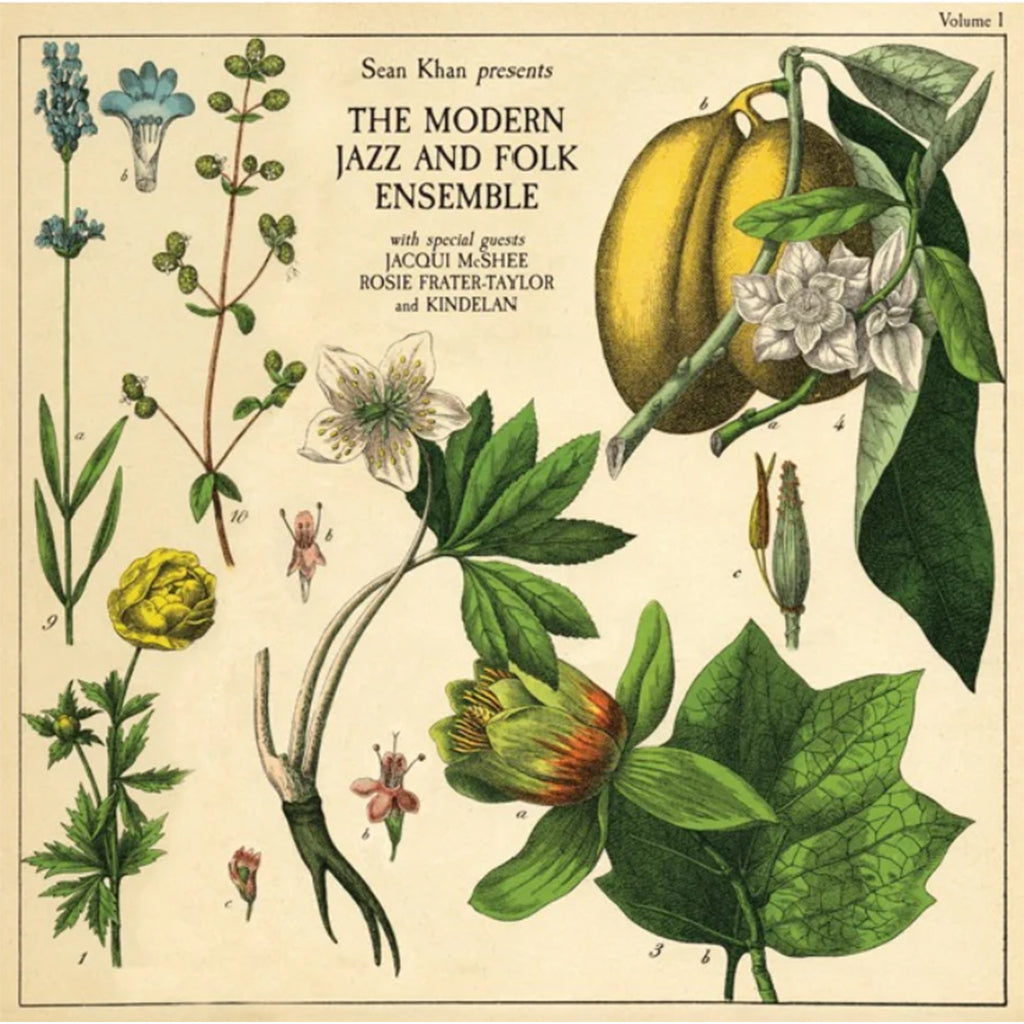SEAN KHAN - Sean Khan Presents The Modern Folk & Jazz Ensemble - LP - Vinyl