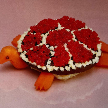 SHARP PINS - Turtle Rock - LP - Vinyl [OCT 24]