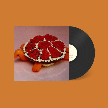 SHARP PINS - Turtle Rock - LP - Vinyl