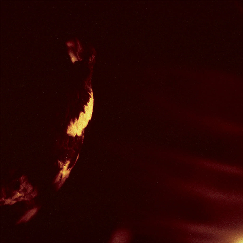 SKEPTICISM - Stormcrowfleet (30th Anniversary Edition) - 2LP - Amber w/ Black Smoke Colour Vinyl [NOV 21]