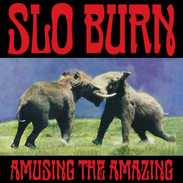 Slo Burn - Amusing The Amazing - 12" Custom etching on the B side  [RSD Black Friday 2025]