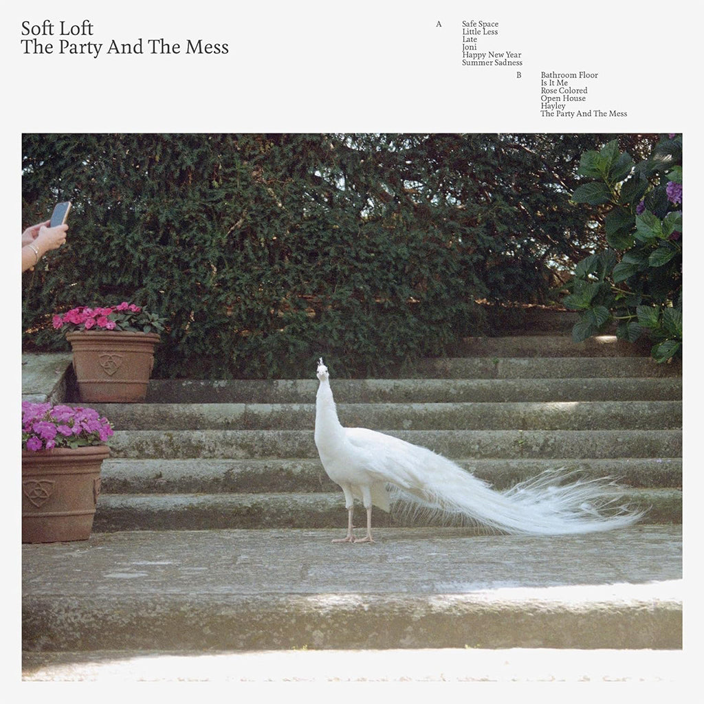 SOFT LOFT - The Party And The Mess (with Poster) - LP - Eco-Mix Coloured Vinyl
