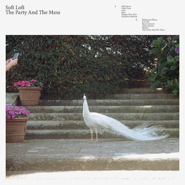 SOFT LOFT - The Party And The Mess (with Poster) - LP - Eco-Mix Coloured Vinyl