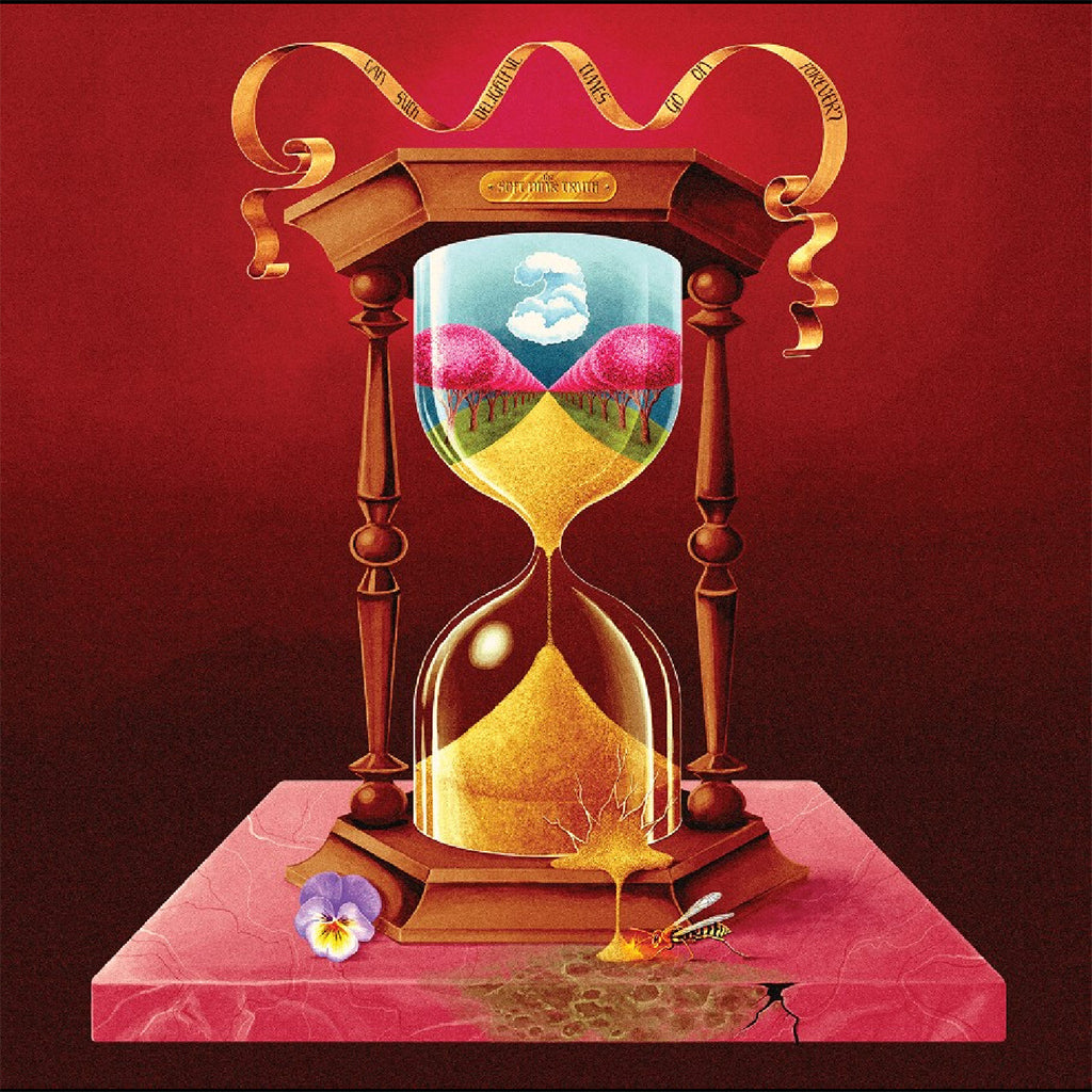 THE SOFT PINK TRUTH - Can Such Delightful Times Go On Forever? - LP - Black Vinyl [JAN 30]