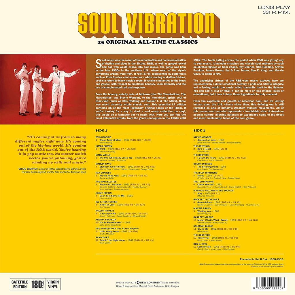 VARIOUS - Soul Vibration: 25 Original All-Time Classics - LP - 180g Vinyl