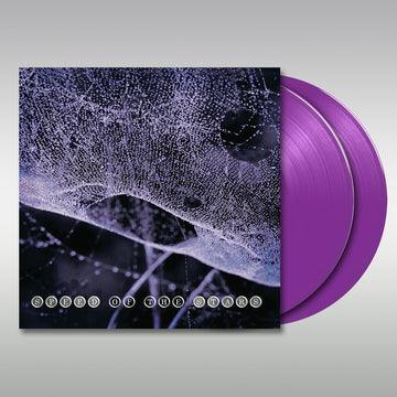 SPEED OF THE STARS (STEVE KILBEY AND FRANK KEARNS) - Speed Of The Stars - 2LP - Purple Vinyl [date tbc]