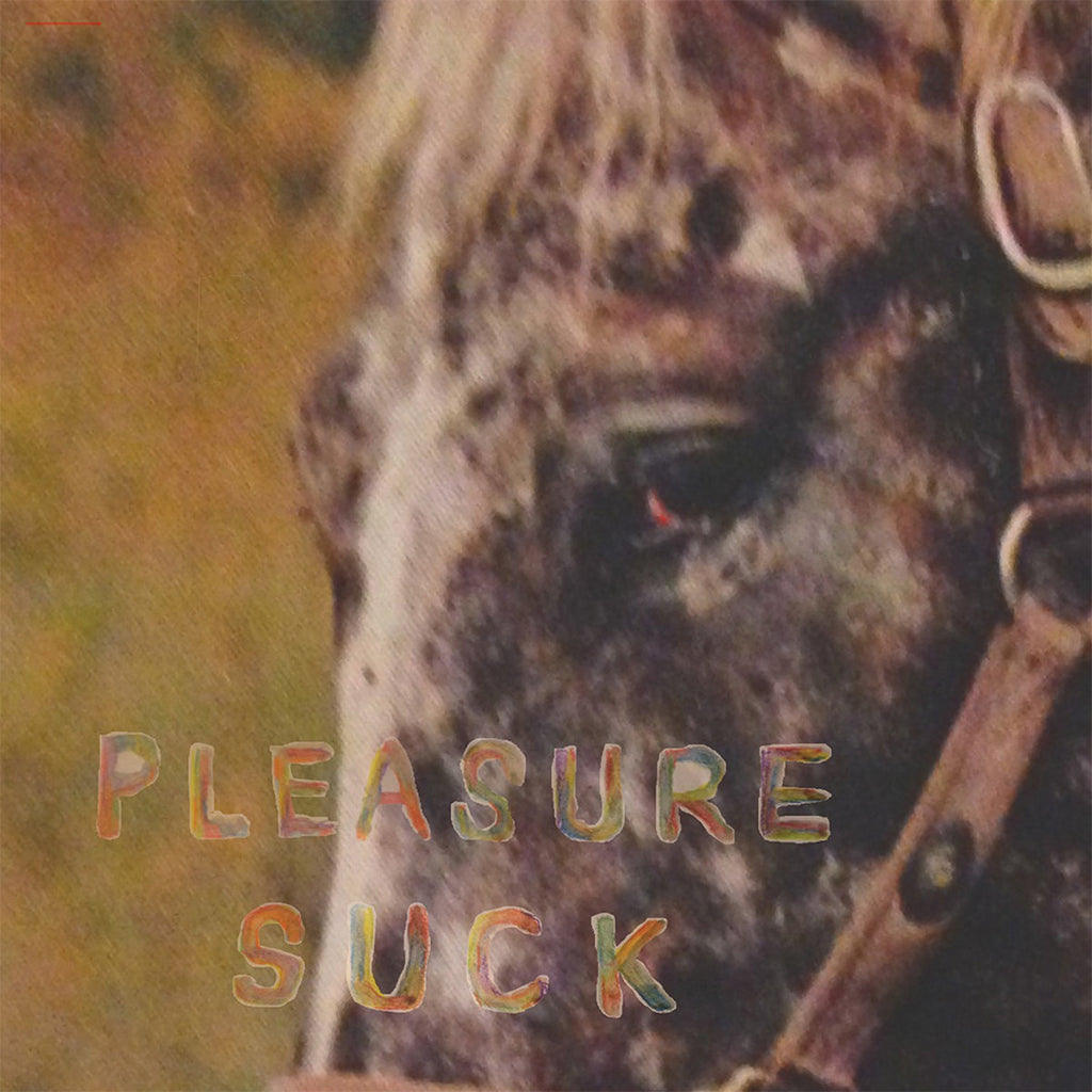 SPIRIT OF THE BEEHIVE - Pleasure Suck (2023 Reissue) - LP - Translucent Orange Vinyl