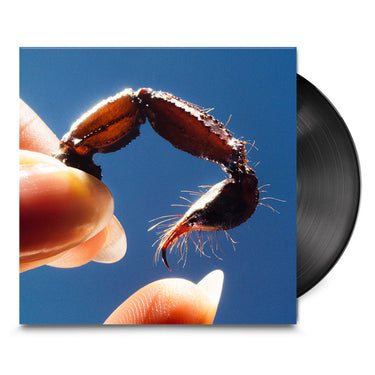 SQUID - Cowards - LP - Black Vinyl