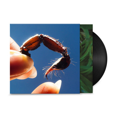 SQUID - Cowards - LP - Black Vinyl