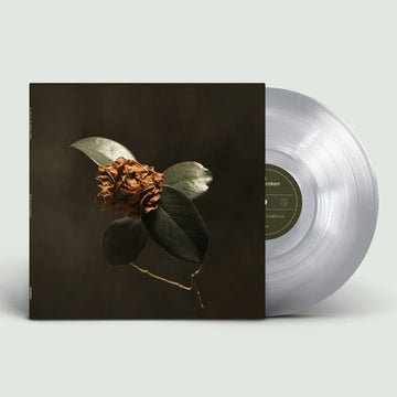ST. PAUL & THE BROKEN BONES - Young Sick Camellia (Reissue) - LP - Ultra Clear Vinyl [DEC 5]