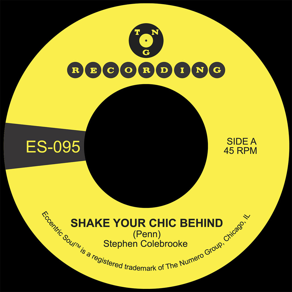 STEPHEN COLEBROOKE - Shake Your Chic Behind / Stay Away From Music - 7'' - Black Vinyl