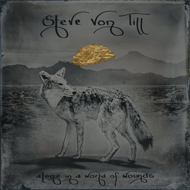 STEVE VON TILL - Alone In A World Of Wounds - LP - Graphite Grey Eco Mix Vinyl