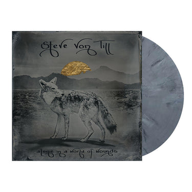 STEVE VON TILL - Alone In A World Of Wounds
