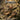 STORMZONE - Immortal Beloved - CD [JAN 23]