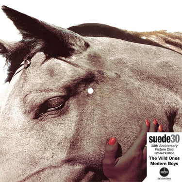 SUEDE - The Wild Ones (30th Anniversary Edition) - 7'' - Picture Disc Vinyl [NOV 8]