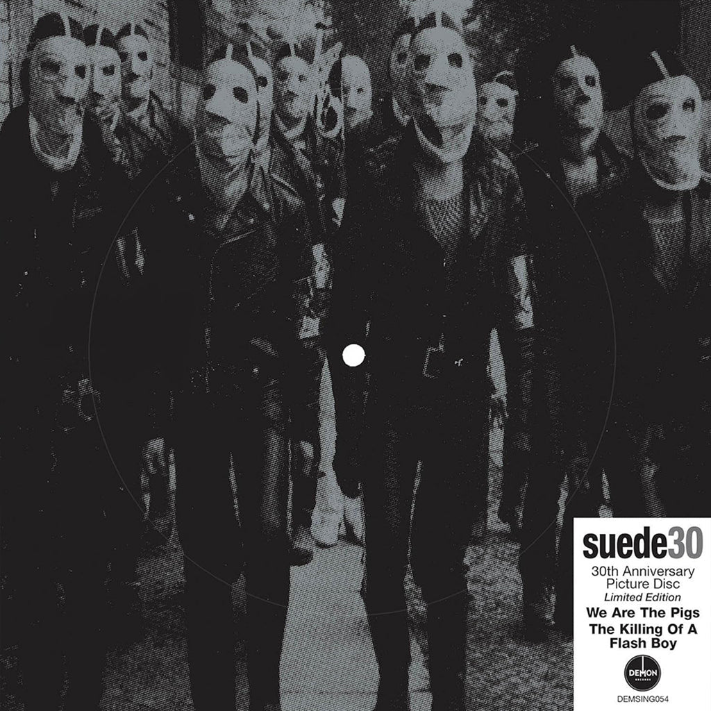 SUEDE - We Are The Pigs (30th Anniversary Collector's Edition) - 7'' -  Picture Disc Vinyl [SEP 13]