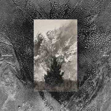 SUPERPOZE - Siécle - LP - Vinyl [OCT 17]