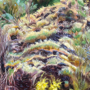 SWIM SURREAL - In The Half Light - LP - Black Bio Vinyl